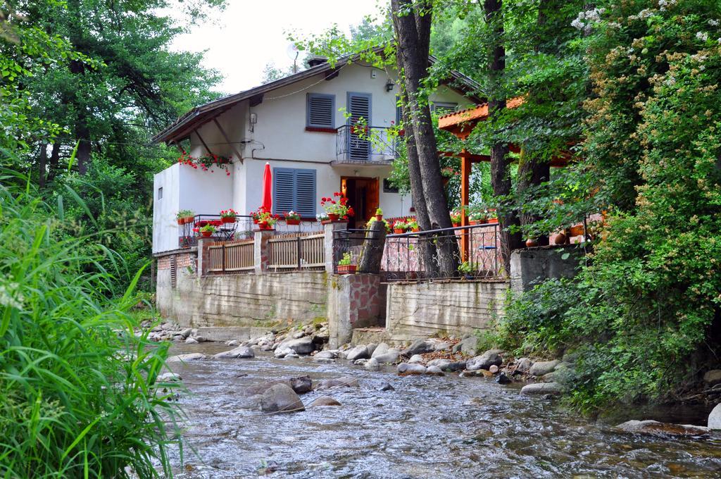 House By The River Teteven Bilik gambar